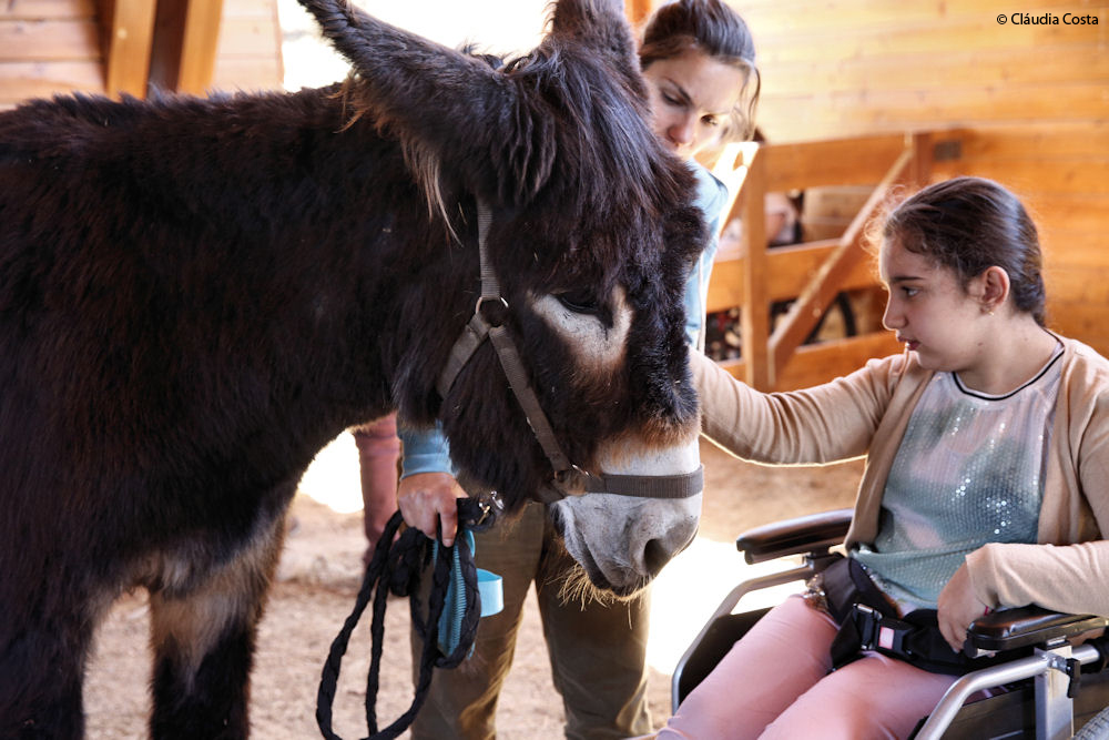 Atividades Assistidas com Burros