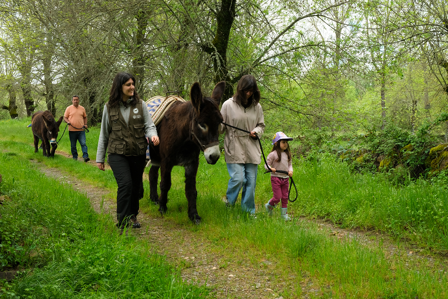 Caminhadas na companhia do Burro de Miranda