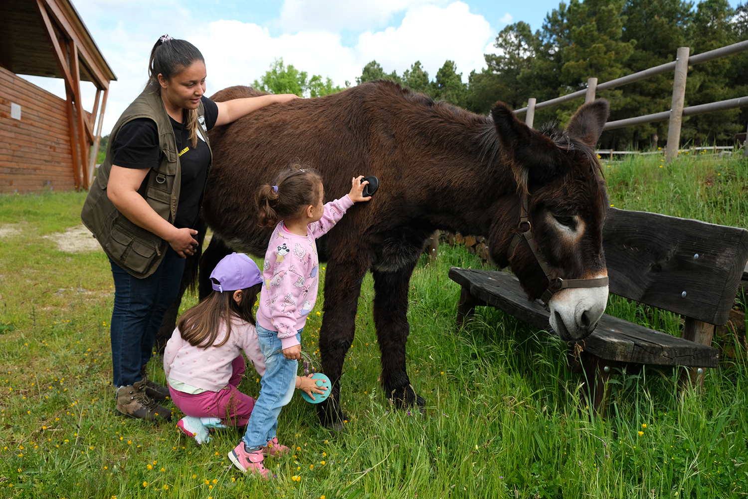 Cuidar de um burro, cuidar de um amigo