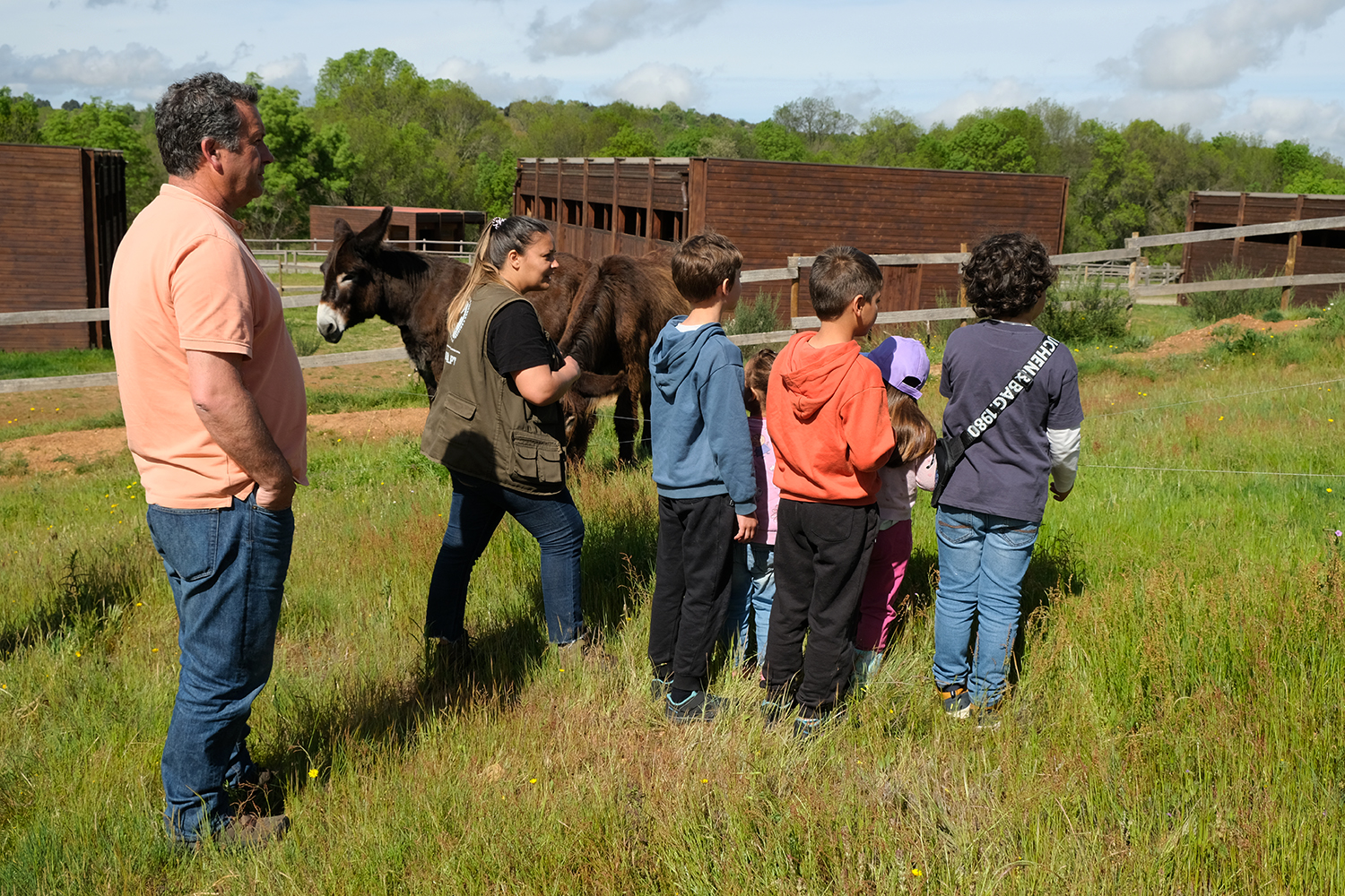 Visita aos estábulos do Burro de Miranda